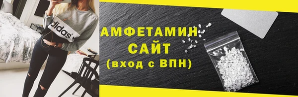 прущие грибы Рославль