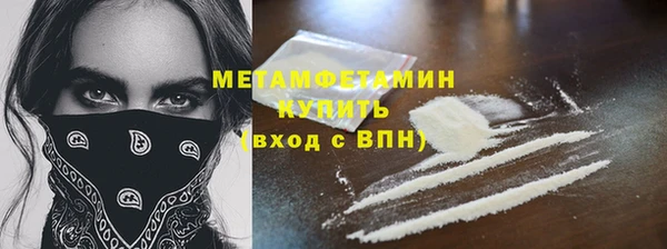 прущие грибы Рославль