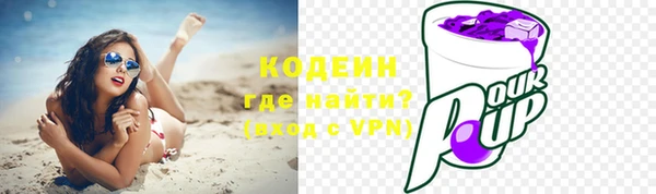 хмурый Абаза