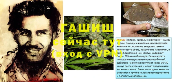 хмурый Абаза