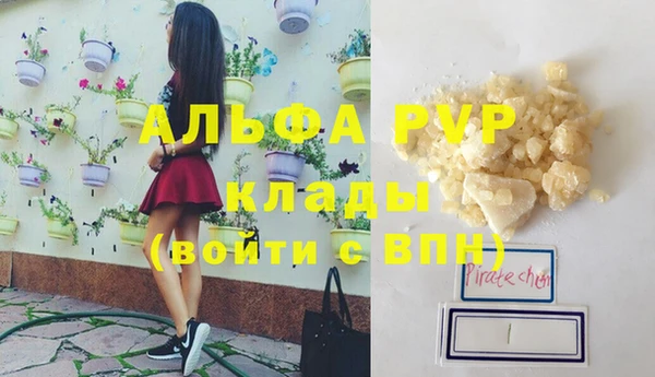 хмурый Абаза