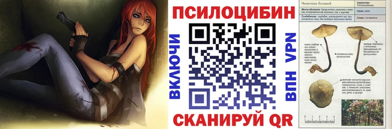 Псилоцибиновые грибы мицелий Инта