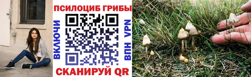 Галлюциногенные грибы GOLDEN TEACHER  Инта 